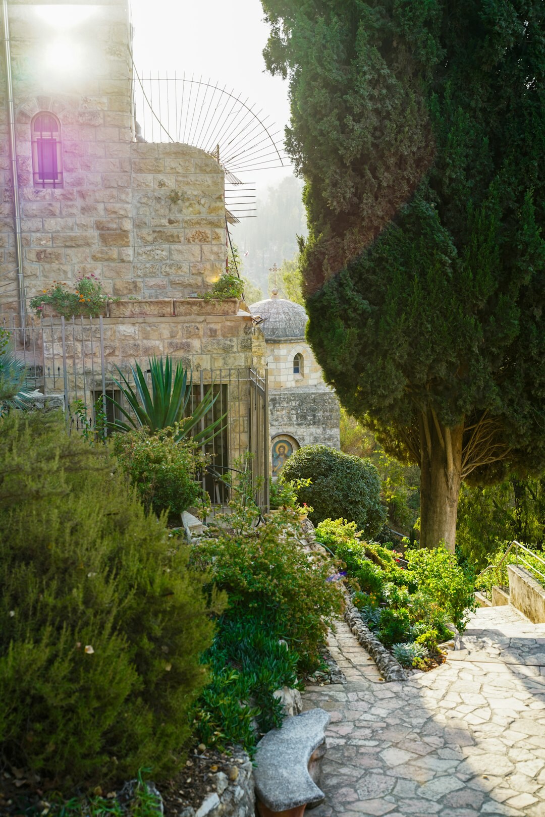 old garden with hidden path